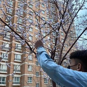 好黄好爽好痛的视频
